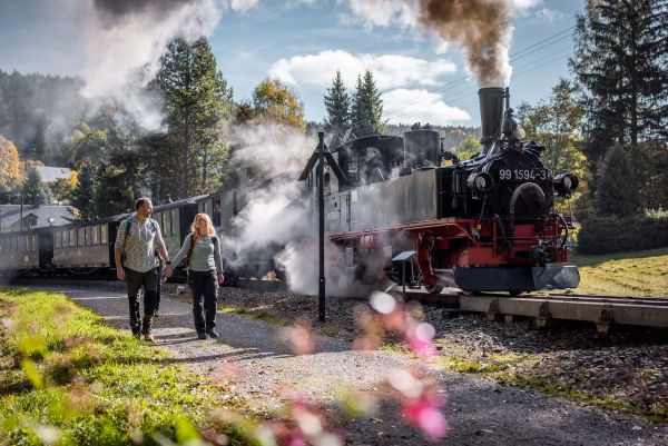Il percorso lungo la storica ferrovia a scartamento ridotto del Fichtelberg